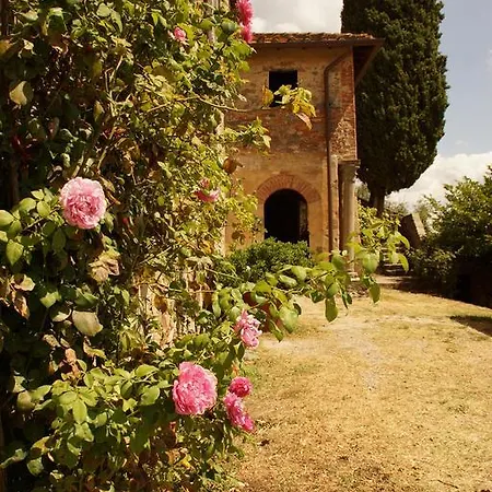 Loggia Del Centone - Oliveto *