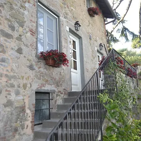 Loggia Del Centone - Oliveto * Matraia