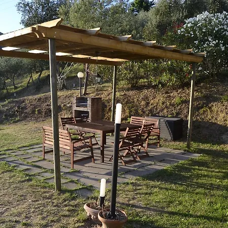 Loggia Del Centone - Oliveto Matraia