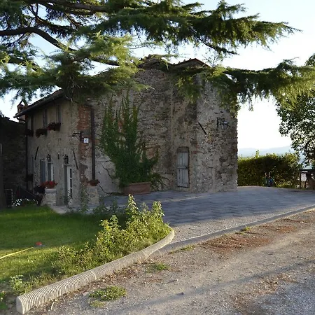 Loggia Del Centone - Oliveto * Matraia