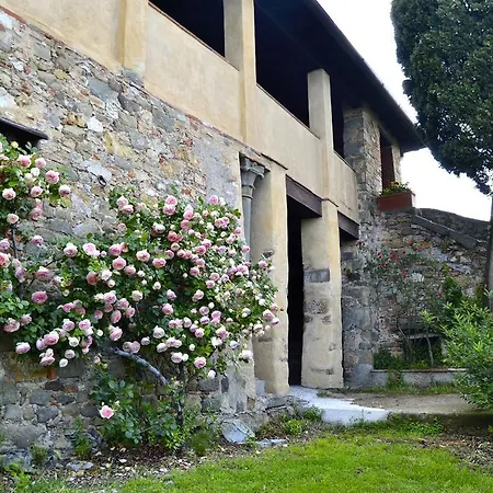 Loggia Del Centone - Oliveto