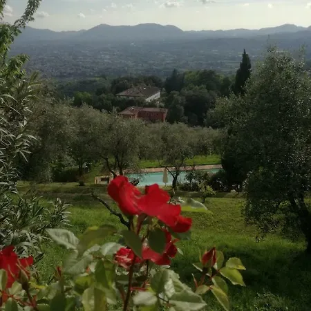 Loggia Del Centone - Oliveto Matraia