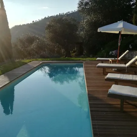 Loggia Del Centone - Oliveto Apartmán