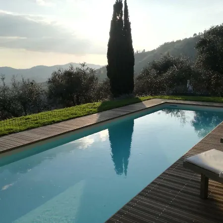 Loggia Del Centone - Oliveto *