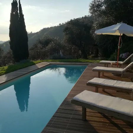 Loggia Del Centone - Oliveto Apartmán
